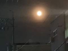 달 밝은 밤, 그 강물