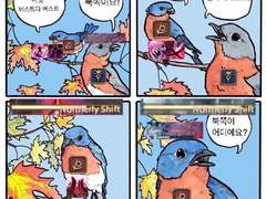 북쪽이 어디에요?