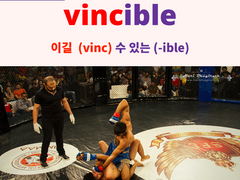 invincible (vincible)