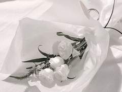 한 소년만을 위한_