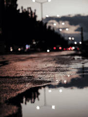 제목을 입력하세요