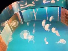 지키지 않았던 약속