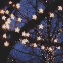 .•✰.*•. 𝓢𝓽𝓪𝓻𝓻𝔂 .•✰.*•.