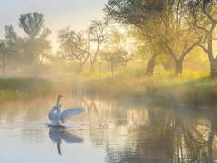 샬롯 / 1학년 / 수예부