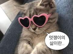 엔시티 나페스 추천 3