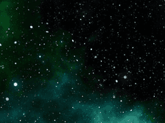 베스티 볼프 디에노이브 / XX / 아르모니아