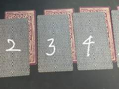 230525 오늘의 제너럴타로