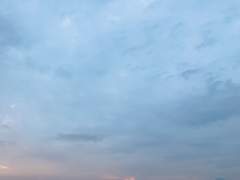 [태섭백호] 일생