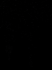 우리는 왜 살아가는가