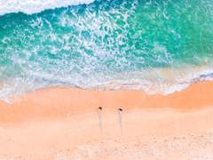 고래는 물속에서 숨을 쉬지 않는다