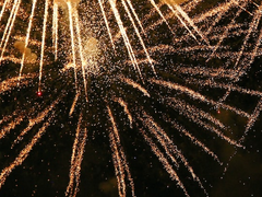 [우성태섭] 독수리와 오소리 上