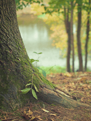 우리들의 이별 유예