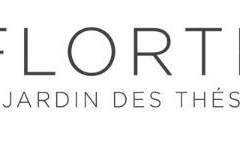 차 브랜드 소개㉖: Florté