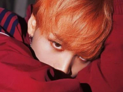 우리 집 고양이? 호랑이! 5