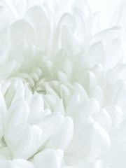 서로만의 치유적 사랑.