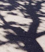 독립 못한 어른이 꿈꾸는 미니멀리스 트의 삶 1