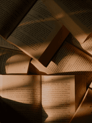 [이름 없는 것들의 위한 공간]