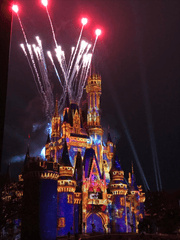 첫 우물 밖 풍경