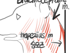 퍼리 그리는 만화 3