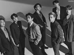 어느 쪽의 개들 +