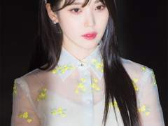 나는 연예인이 되어도 괜찮은 사주일까? - (1) (아이유, 이효리, 강수정 등...)