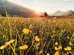 [CoC 7th] 결혼해요! 결혼 안 해요?