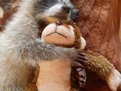 준빵 짧썰? 모음 2 (백업용)