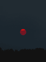 [해리포터]평화 속 붉은점.