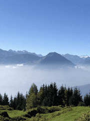 연예인 정통 사주풀이