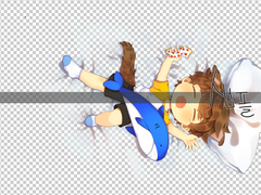 갑타 기상호 + 개상호 미니 다키마쿠라 도안