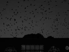 탐식의 수문장, 막내 프로필