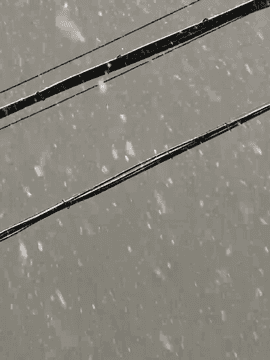 this is not a love song