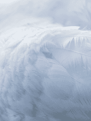 마담 도메티의 수상한 옷가게