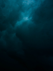 평온의 숲의 세레니티