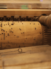 한순간의 노래 뮤즈 파퓨턴