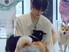 짝남의 강아지를 돌봐줍니다 TALK