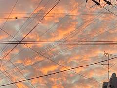 나의 청춘은 너의 기록