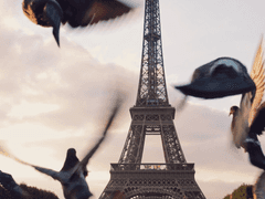 194 jours á Paris (4)