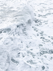 [대만태섭]my fair bastard