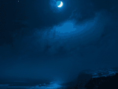 니힐 더 포일리스 슈메어츠