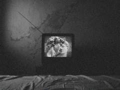 [백호열] 질투의 방증