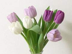 우리 동네 꽃집에는 사랑을 팔아요 _05