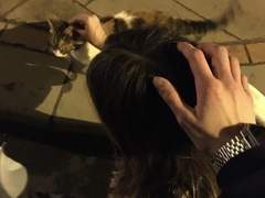 대현주해 기본 타로