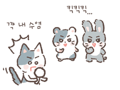 그 고양이가 수염이 없는 이유🐱