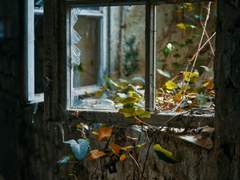 [준상] 상호 불가침 영역