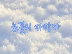 눈꽃의 자장가
