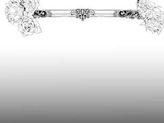 나비관통후기(1)