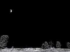 최 설윤 / 21 / xx