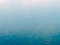 오늘의 날씨는 여우비.