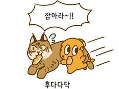 4화 위기시엔 선인장으로, 밥캣